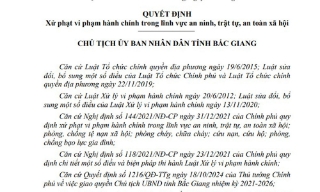 Bắc Giang: Xử phạt 30 triệu đồng đối với một cá nhân tàng trữ đạn thể thao 